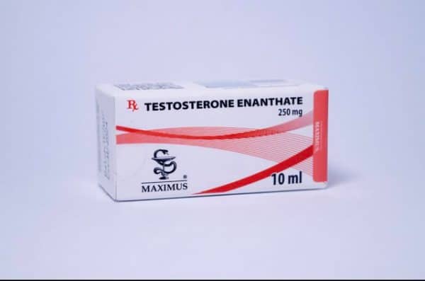 testosterone enanthate 250 maximus sterydy sklep online mocnesuple