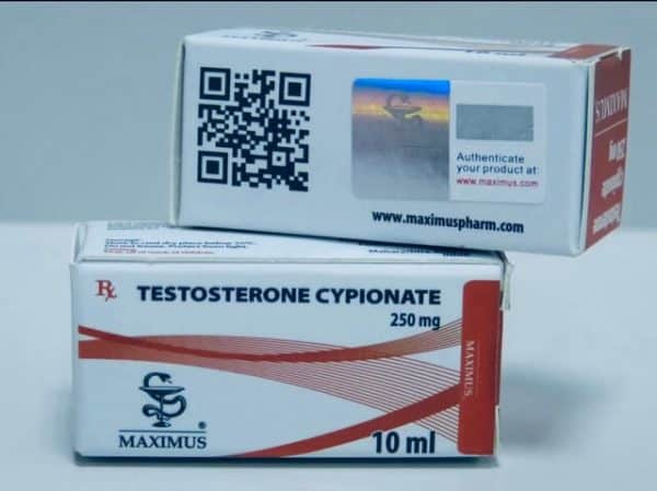 Testosterone Cypionate 250mg/ml 10amp sklep sterydy mocnesuple.pl
